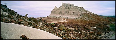 Landscape of white volcanic ash and rocks. Big Bend National Park (Panoramic color)