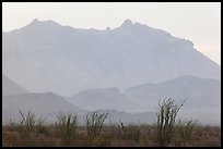 Ocotillo and Chisos Mountains. Big Bend National Park ( color)