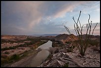 Ocotillo and Rio Grande Wild and Scenic River. Big Bend National Park, Texas, USA. (color)