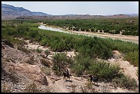 Mexican nationals crossing border on horse. Big Bend National Park, Texas, USA. (color)