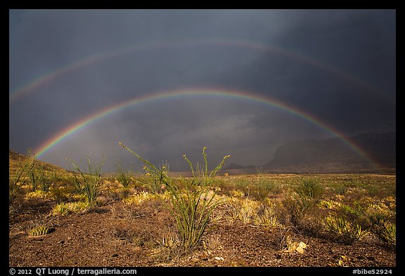 Double rainbow over Chihuahuan desert. Big Bend National Park, Texas, USA.
