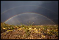 Double rainbow over Chihuahuan desert. Big Bend National Park, Texas, USA. (color)