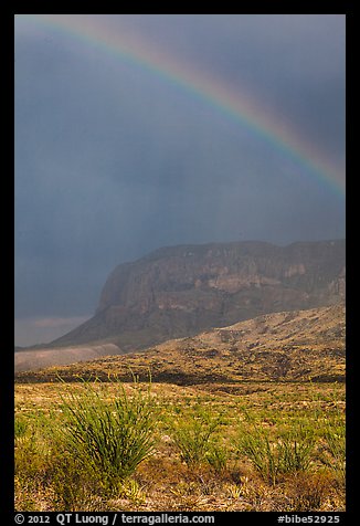 Rainbow over desert and Chisos Mountains. Big Bend National Park (color)