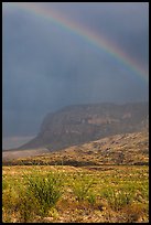 Rainbow over desert and Chisos Mountains. Big Bend National Park ( color)