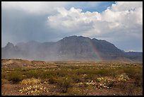 Clearing storm, rainbow, and Chisos Mountains. Big Bend National Park ( color)