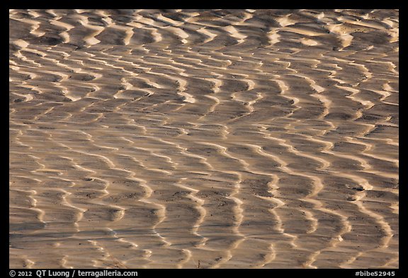 Mud flat close-up. Big Bend National Park (color)