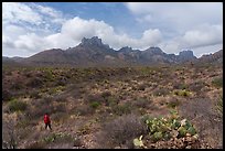 Visitor looking, Chisos Mountains. Big Bend National Park ( color)