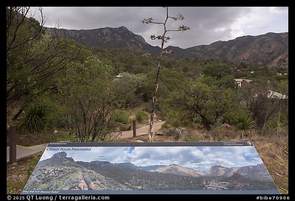 Chisos Basin interpretive sign. Big Bend National Park (color)