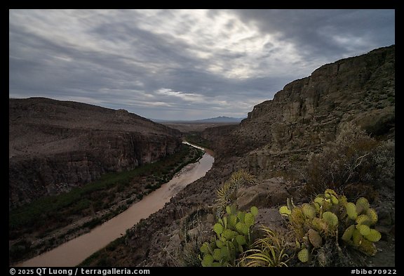 The Rio Grande winds through Hot Springs Canyon at dusk, with prickly pear cactus clinging to the rocky rim. Big Bend National Park (color)