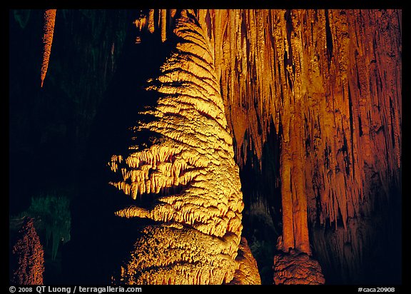 Large stalagmite column and thin stalagtites. Carlsbad Caverns National Park (color)