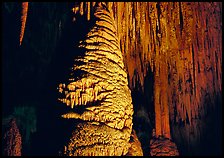 Large stalagmite column and thin stalagtites. Carlsbad Caverns National Park, New Mexico, USA. (color)