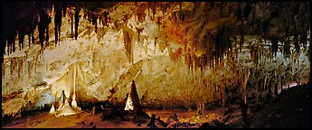Delicate cave formations in Papoose Room. Carlsbad Caverns National Park (Panoramic color)