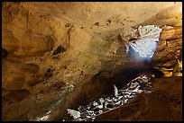 Large cave room and natural entrance. Carlsbad Caverns National Park, New Mexico, USA. (color)