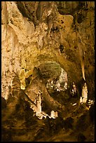 Massive speleotherms. Carlsbad Caverns National Park, New Mexico, USA. (color)