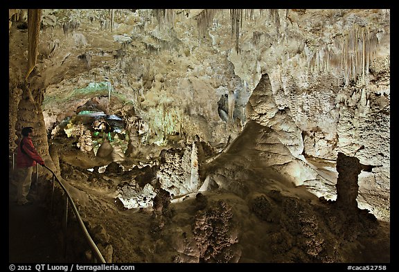 Park visitor looking, large illuminated room filled with speleotherms. Carlsbad Caverns National Park (color)