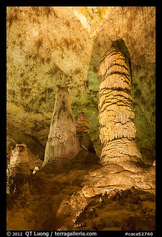 Giant Dome and Twin Domes. Carlsbad Caverns National Park (color)