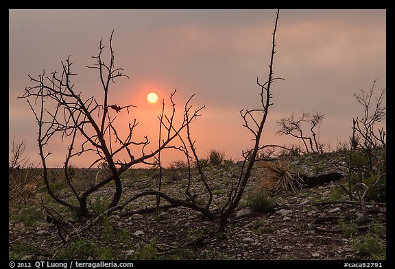 Sun through wildfire smoke and burned shrubs. Carlsbad Caverns National Park (color)