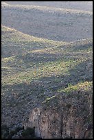 Ridges with desert vegetation. Carlsbad Caverns National Park ( color)