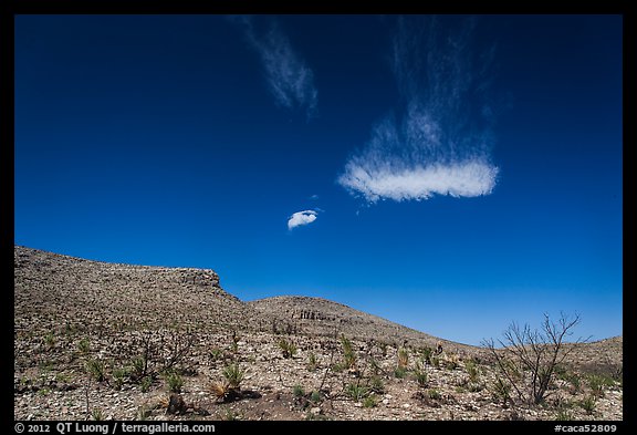 Cloud and blue skies above burned desert. Carlsbad Caverns National Park, New Mexico, USA.