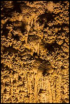 Cave popcorn detail. Carlsbad Caverns National Park, New Mexico, USA. (color)