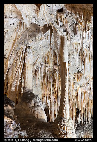 Delicate stalagtites with iron oxide staining in Painted Grotto. Carlsbad Caverns National Park, New Mexico, USA.
