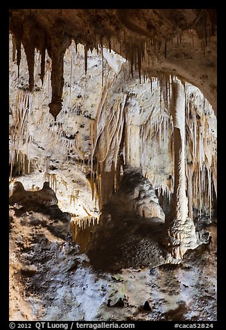 Calcite speleotherms and soda straws, Painted Grotto. Carlsbad Caverns National Park, New Mexico, USA.