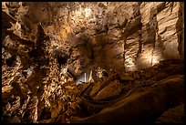 Illuminated formations and winding path threading through a towering chamber of rock. Carlsbad Caverns National Park ( color)