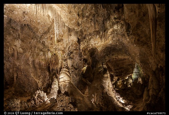 Dense array of stalactites and stalagmites glowing under warm artificial light in the Big Room. Carlsbad Caverns National Park (color)