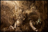 Dense array of stalactites and stalagmites glowing under warm artificial light in the Big Room. Carlsbad Caverns National Park ( color)