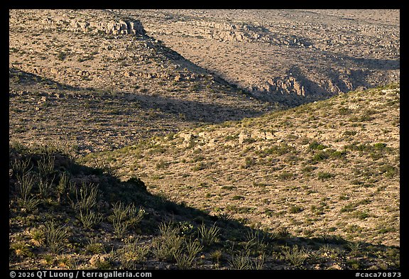 Evening shadows sweep across the scrub-covered limestone hills of the Chihuahuan Desert. Carlsbad Caverns National Park (color)