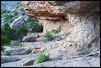 Weathered limestone overhangs form a shallow rock shelter above scattered shrubs and boulders. Carlsbad Caverns National Park ( color)
