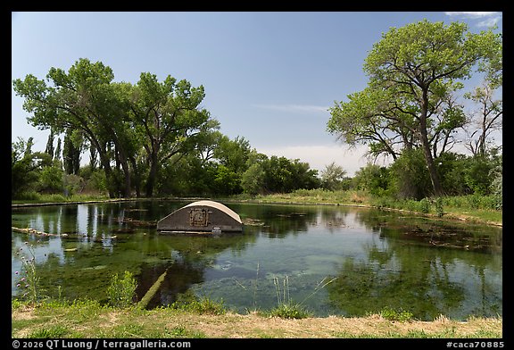 Curved concrete pumphouse rising from a green Rattlesnake Springs pool beneath cottonwoods. Carlsbad Caverns National Park (color)