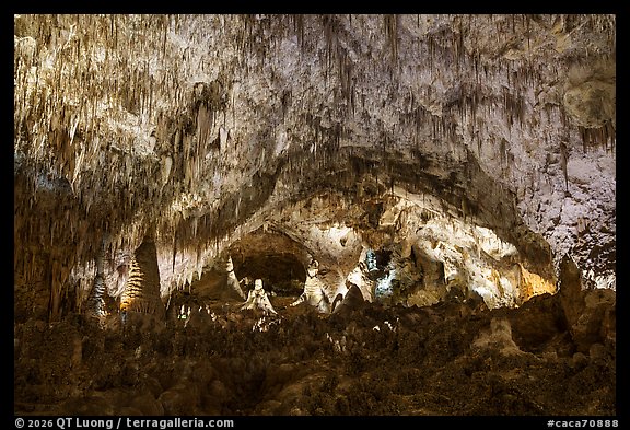 Dense forest of stalactites and stalagmites filling an immense underground chamber, Big Room. Carlsbad Caverns National Park (color)