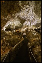 Narrow paved trail winding through a corridor of dripping limestone formations, Big Room. Carlsbad Caverns National Park ( color)