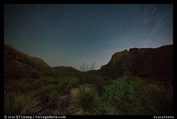 Stary sky at night above Guadalupe Mountains. Carlsbad Caverns National Park (color)
