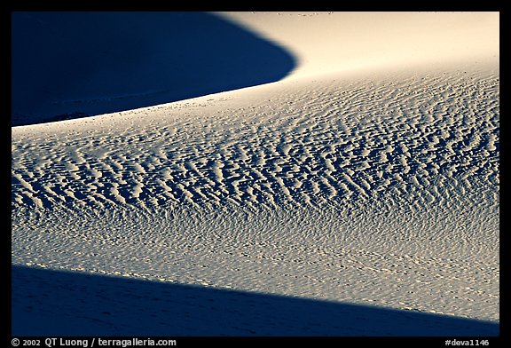 Sand patterns in Mesquite Sand dunes, early morning. Death Valley National Park, California, USA.