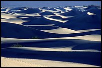 Mesquite Sand dunes, early morning. Death Valley National Park, California, USA.