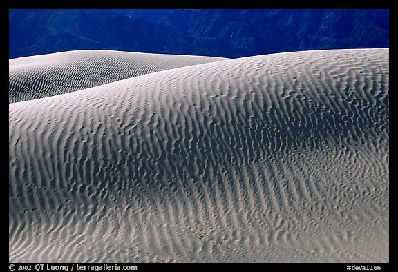 Ripples on Mesquite Sand Dunes,  morning. Death Valley National Park, California, USA.