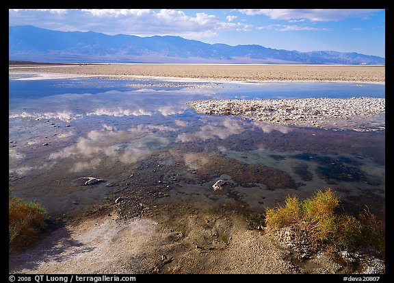 Shallow pond, reflections, and playa, Badwater. Death Valley National Park (color)