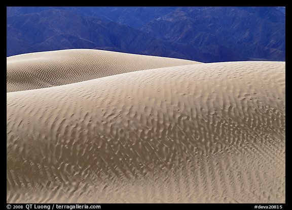 Ripples on Mesquite Sand Dunes,  morning. Death Valley National Park (color)