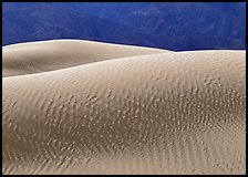 Ripples on Mesquite Sand Dunes, morning. Death Valley National Park ( color)