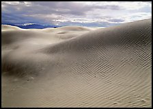 Sensuous dune forms. Death Valley National Park, California, USA.
