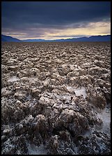 Salt pinnacles at Devils Golf Course. Death Valley National Park, California, USA. (color)