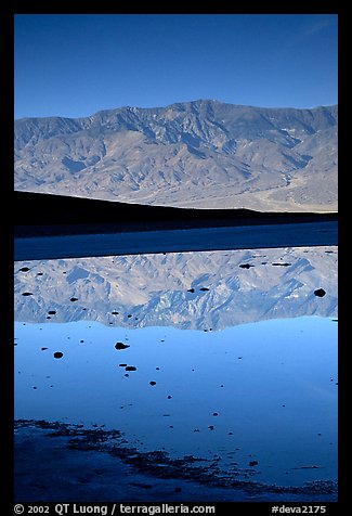 Panamint range reflected in pond at Badwater, early morning. Death Valley National Park (color)
