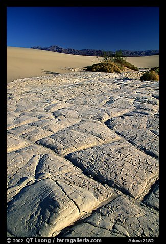 Dried mud formations in Mesquite Sand Dunes, early morning. Death Valley National Park (color)