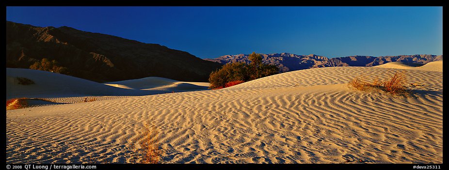 Desert landscape with sand ripples, Mesquite dunes. Death Valley National Park, California, USA.