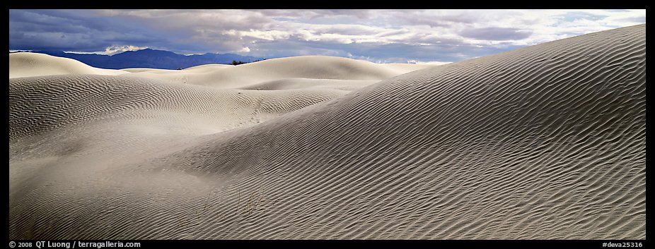 Desert sand dune landscape. Death Valley National Park, California, USA.