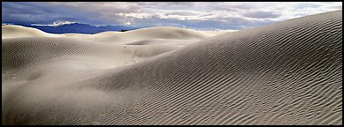 Desert sand dune landscape. Death Valley National Park, California, USA.
