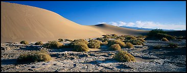 Desert landscape with mud slabs, bushes, and sand dunes. Death Valley National Park (Panoramic color)