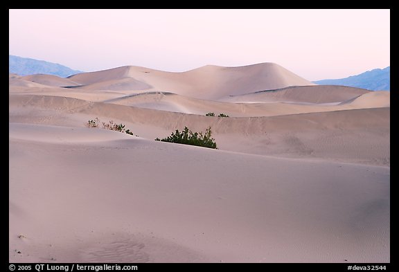 Mesquite sand dunes at dawn. Death Valley National Park (color)